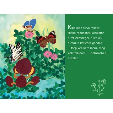 Kippkopp a fűben-diafilm