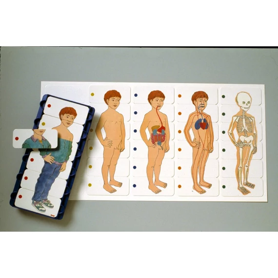 Az emberi test réteges puzzle - kisfiú-öltöztető fejlesztő játék