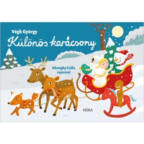 Különös karácsony-Végh György