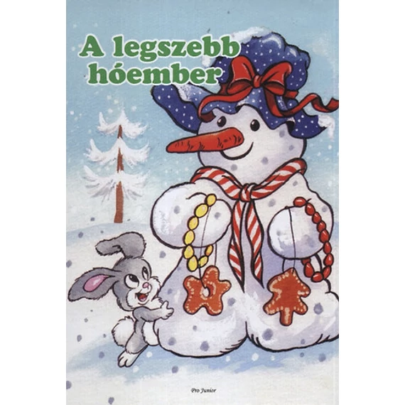A legszebb hóember-Radványi Zsuzsa