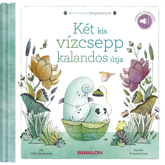 Két kis vízcsepp kalandos útja - Letölthető hangfelvétellel! A TERMÉSZET HANGOSKÖNYVE